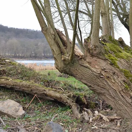 Stara Posta فندق Zdiby