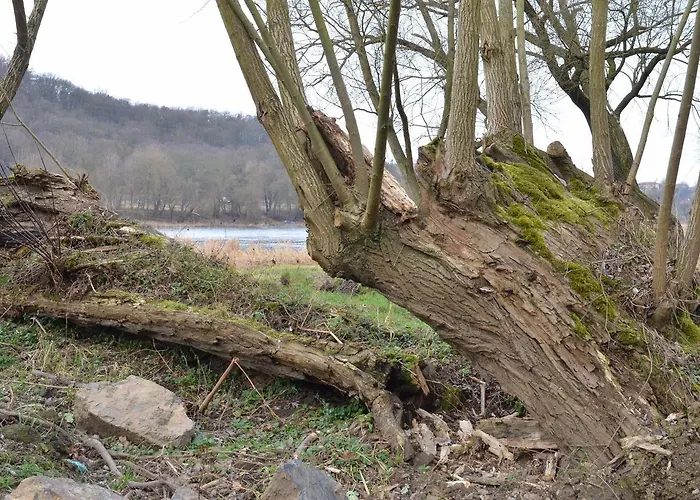 Stara Posta Отель Zdiby